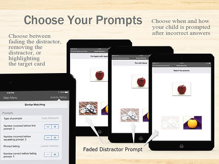 Customizable prompting in the Language Builder App